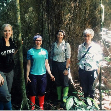 Researchers in the forest (from the left): Dr Louise Ashton, Dr Hannah Griffiths, Dr Kate Parr and Dr Amy Zanne.